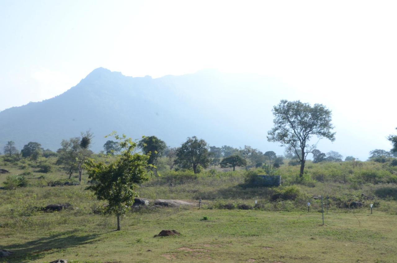 Aarraams Farms & Resorts Masinagudi Exterior photo